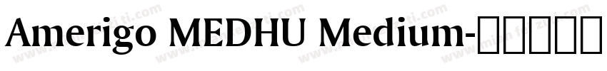 Amerigo MEDHU Medium字体转换
